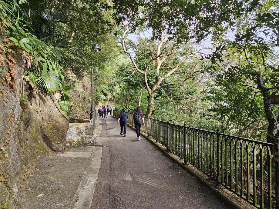 Victoria Peak Loop