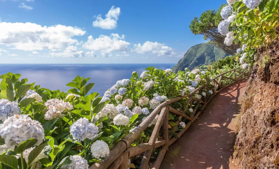 Sao Miguel, Azory