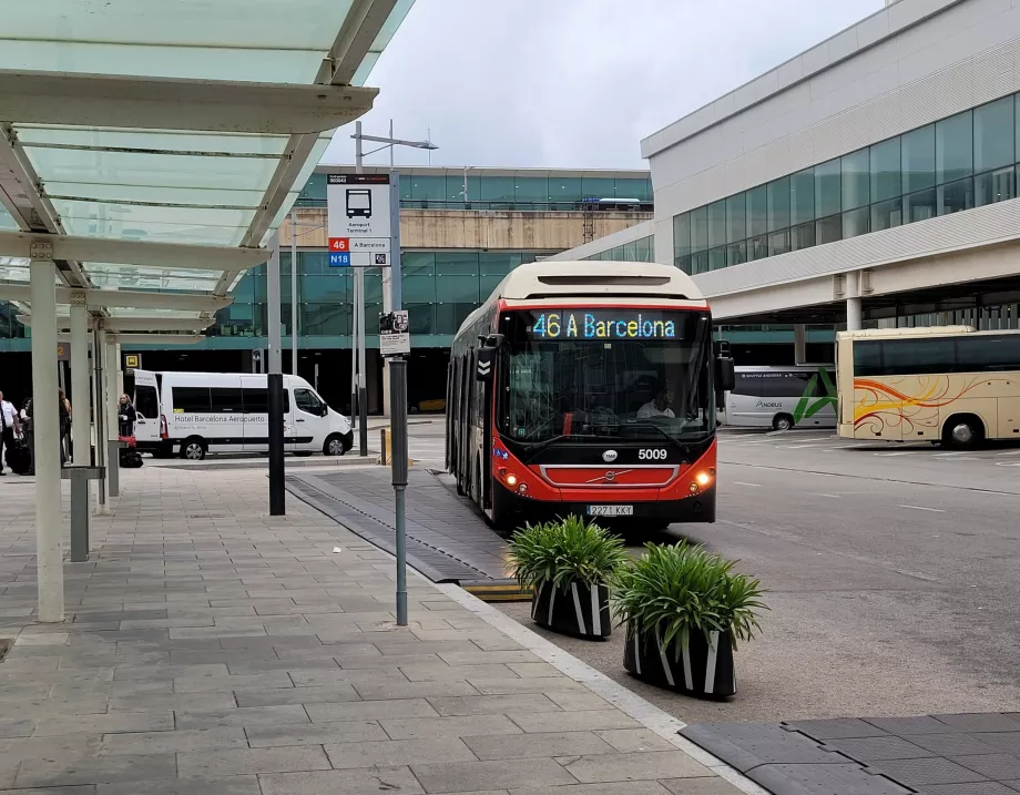 Autobusová zastávka 46 pri termináli 1