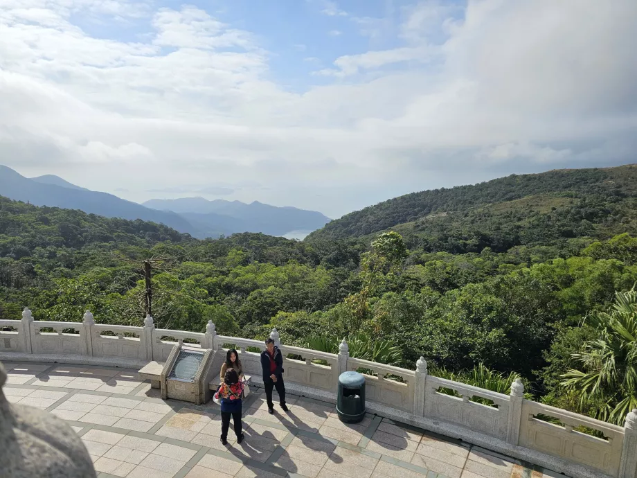 Pohľad na lesy ostrova Lantau