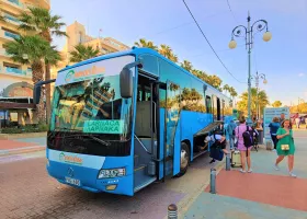 InterCity Bus v Larnake