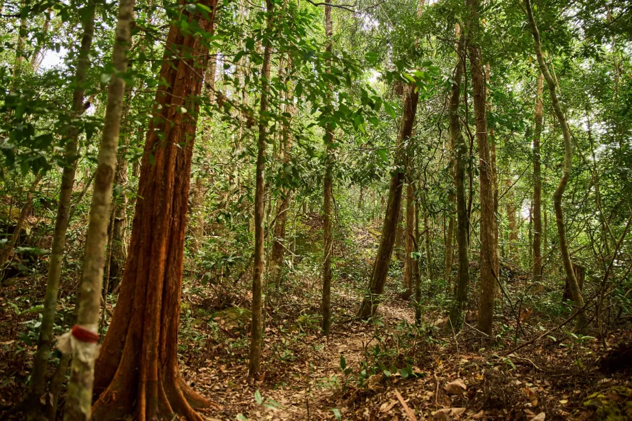 Národný park, Phu Quoc, Vietnam