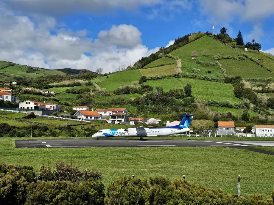 Spotting v Santa Cruz das Flores