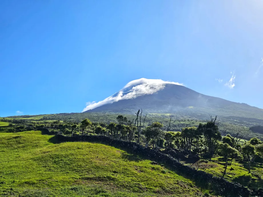 Hora Pico