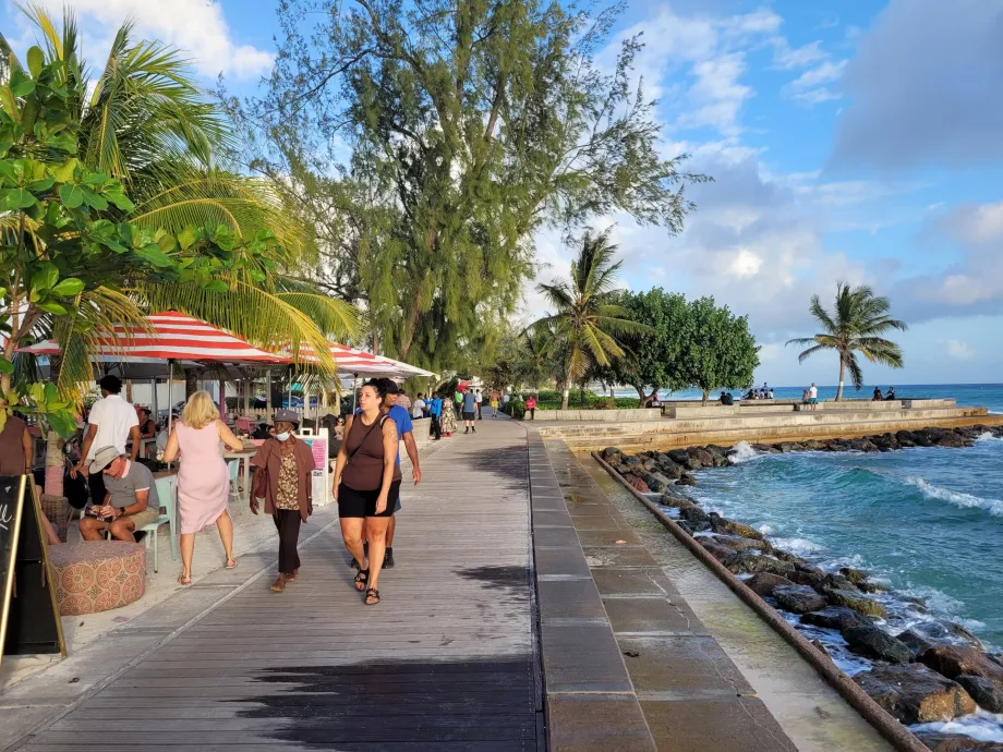 Richard Haynes Boardwalk