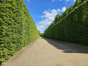 Záhrady vo Versailles