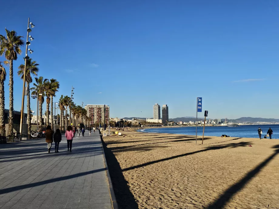 Pláž Barceloneta