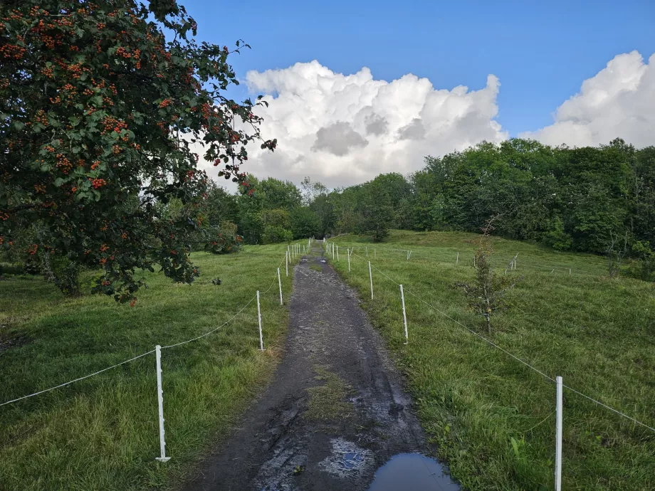 Turistické trasy na ostrove Hovedoya