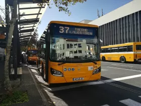 Mestské autobusy vo Funchale (mestské)