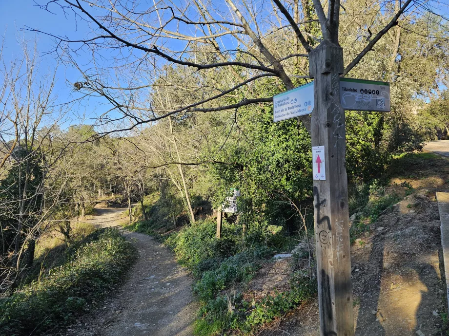 Turisitika v pohorí Tibidabo