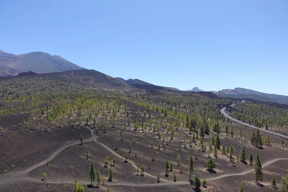 Krajina NP Teide