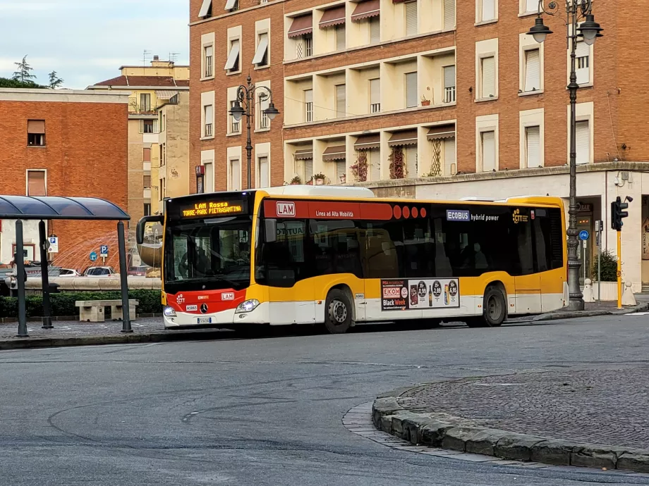 Autobusové linky LAM Rossa