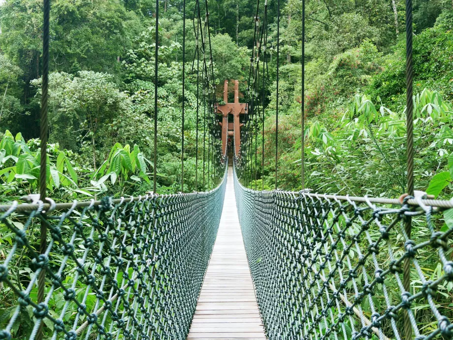 Ulu Temburong