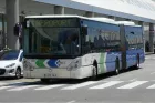 Autobus EMT Palma