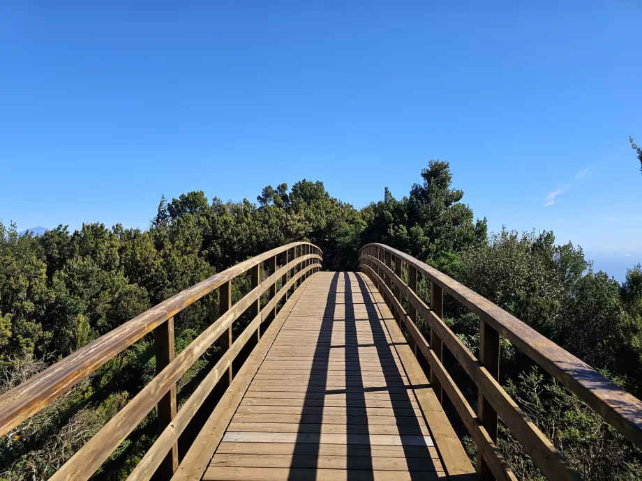 Cesta na Mirador del Morro de Agando