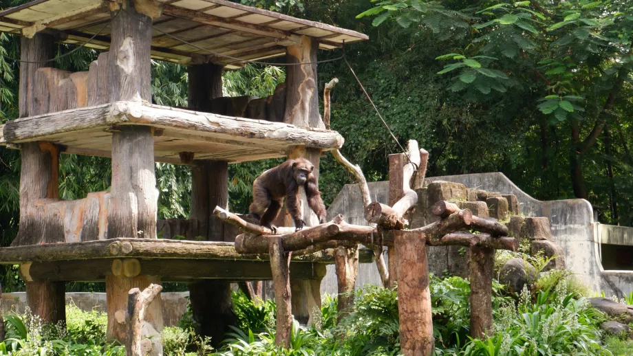 Zoologická záhrada Gembira Loka