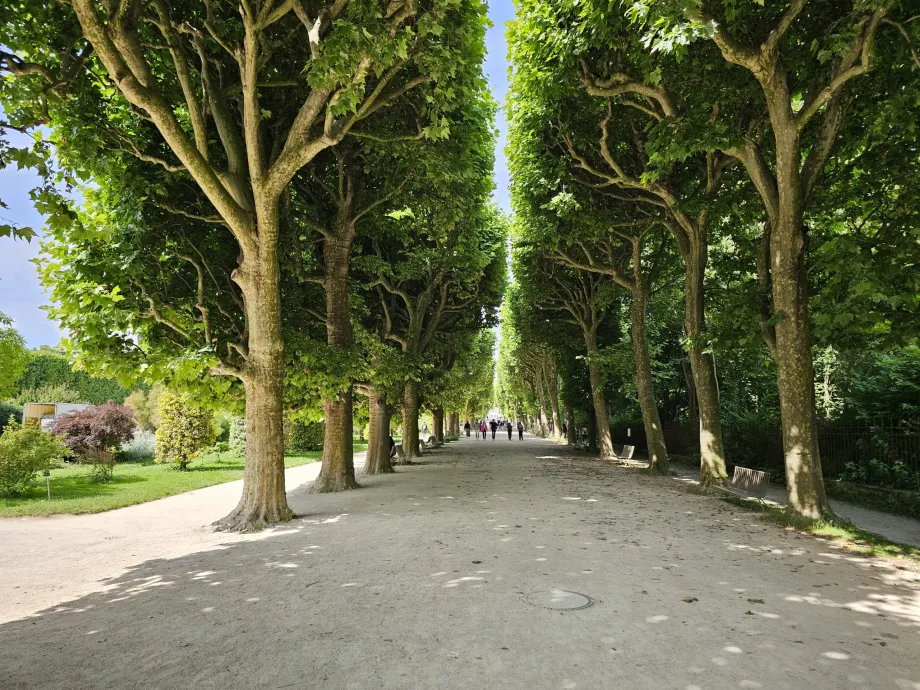 Jardin des Plantes