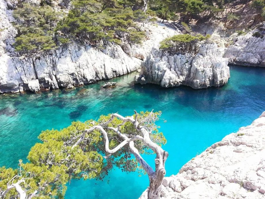 Zátoka v Calanques