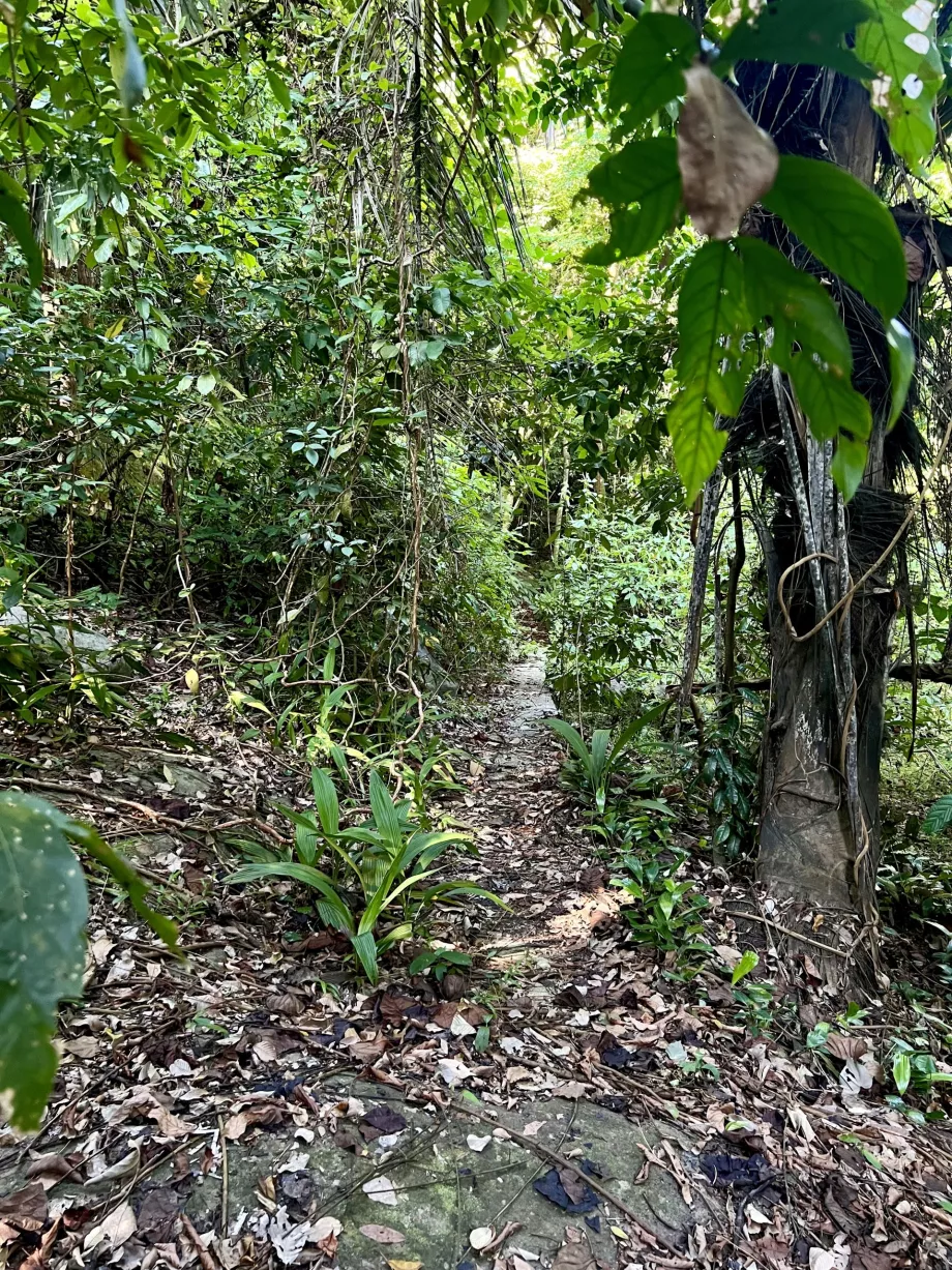 Trek Paya do Gentingu, Tioman